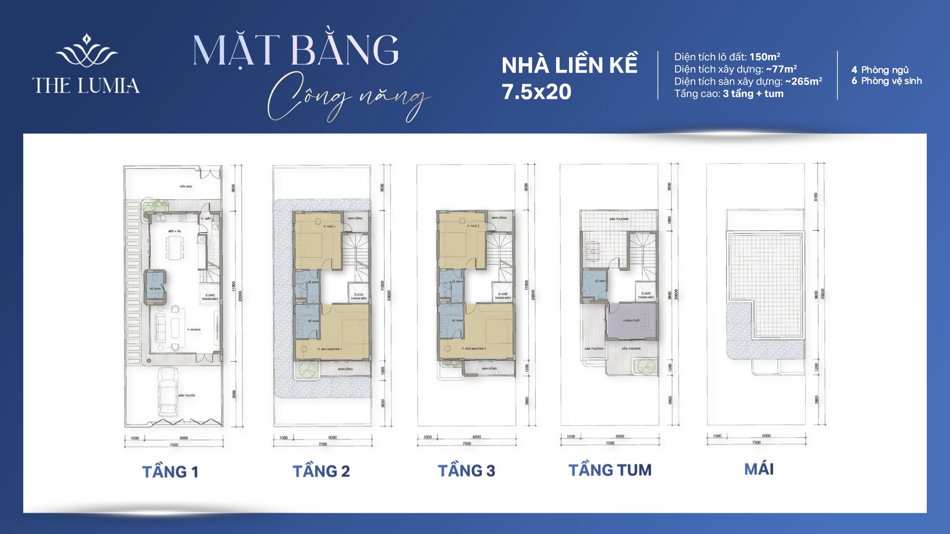 Layout mẫu nhà liền kề 7,5 x 20 dự án The Lumia Da Nang